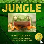 Kainen, Dan, Wollard, Kathy - Jungle