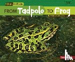 Zemlicka, Shannon - From Tadpole to Frog