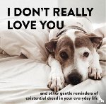 Beyer, Alex - I Don't Really Love You