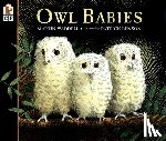 Waddell, Martin - Owl Babies