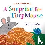 Horacek, Petr - A Surprise for Tiny Mouse