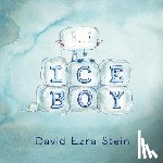 Stein, David Ezra - Ice Boy