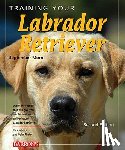 Morn, September - Training Your Labrador Retriever