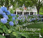 Harrison, Joan - Hydrangeas