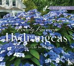 Harrison, Joan - Lovely Lacecap Hydrangeas