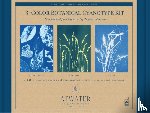 Rafferty, Sarah Bourne - 3-Color Botanical Cyanotype Kit: Beginner-Friendly Solar Printing Kit for DIY Nature Art