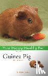 Pavia, Audrey - GUINEA PIG 2/E
