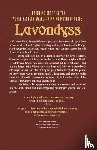 Holdstock, Robert - Lavondyss