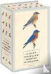 Sibley, David, Sibley, David Allen - Sibley Backyard Birding Postcards