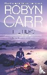 Carr, Robyn - HERO ORIGINAL/E