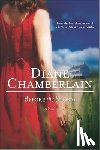 Chamberlain, Diane - Before the Storm