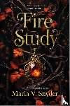 Snyder, Maria V. - Fire Study