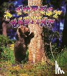 Kalman, Bobbie - A Forest Habitat