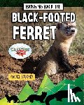 Stuckey, Rachel - Bringing Back the Black-Footed Ferret