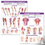 Anatomical Chart Company - Trigger Point Chart Set: Torso & Extremities Lam