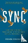 Steven H. Strogatz - Sync