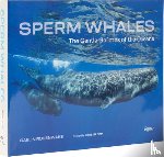 Rosenwaks, Gaelin - Sperm Whales