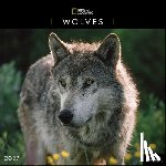 National Geographic - National Geographic: Wolves 2027 Wall Calendar