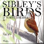 Sibley, David Allen - Sibley's Birds of America 2027 Wall Calendar