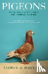 Blechman, Andrew D. - Pigeons