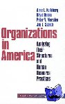  - Organizations in America - Analysing Their Structures and Human Resource Practices