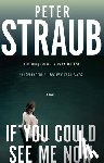 Straub, Peter - If You Could See Me Now