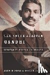 Desai, Ashwin, Vahed, Goolem - The South African Gandhi