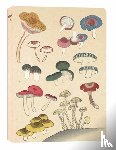  - Healing Mushrooms Lined Paperback Journal