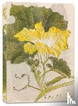  - Japanese Squash Blossom Lined Paperback Journal