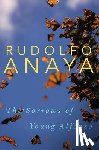 Rudolfo Anaya - The Sorrows of Young Alfonso
