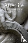 Wyatt, David - Afterlife: The Strange Fate of Literary Remains