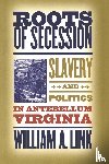 Link, William A. - Roots of Secession