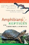 Palmer, William M. - Amphibians and Reptiles of the Carolinas and Virginia, 2nd Ed