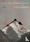 Jaeggy, Fleur - I Am the Brother of XX