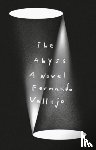 Vallejo, Fernando - The Abyss