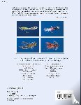 Clouser, Bob - Clouser's Flies