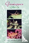 Capinera, John L. - Capinera, J: Grasshoppers of Florida