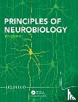 Luo, Liqun (Professor of Biology and Professor of Neurobiology - Principles of Neurobiology
