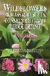 Chapman, William K., Chapman, Valerie Conley, Bessette, Alan E., Bessette, Arleen R. - Wildflowers of Massachusetts, Connecticut, and Rhode Island in Color
