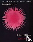 Quintanilla, Octavio - Las Horas Imposibles / The Impossible Hours