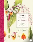 Hollender, W - Botanical Drawing in Color