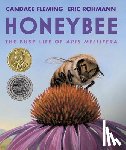 Fleming, Candace - Honeybee