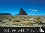 Gomez, Art - New Mexico