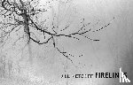 Metcoff, Jill - Firelines