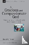 Timmer, Daniel C. - A Gracious and Compassionate God: Mission, Salvation and Spirituality in the Book of Jonah Volume 26