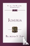 Hess, Richard S. - Joshua: An Introduction and Commentary Volume 6