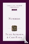 Peres, Caio - Numbers: An Introduction and Commentary Volume 4