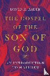 Bauer, David R. - The Gospel of the Son of God – An Introduction to Matthew