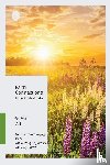 The Foundry Publishing - Faith Connections Adult Bible Study Guide (March/April/May 2023)