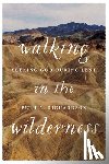 Richardson, Beth A. - Walking in the Wilderness: Seeking God During Lent